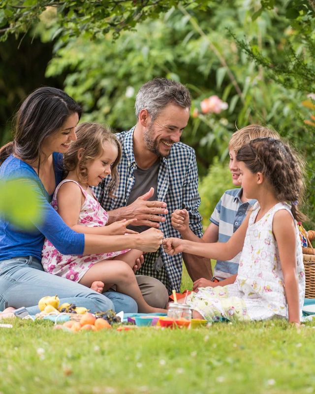 Familienpicknick